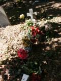 image number Bailey Anthony G 210a